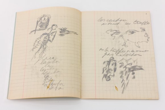 UNADJUSTEDNONRAW_thumb_acf